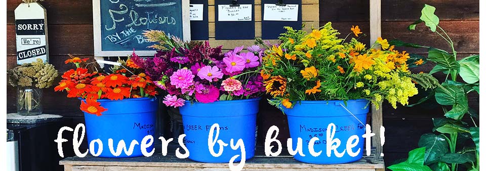 flowersbybucket